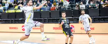 Liqui Moly Starligue (17e journée) : Nantes impressionne