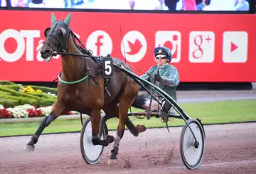 Prix de Trun, Gribouille sur l'hippodrome de Caen