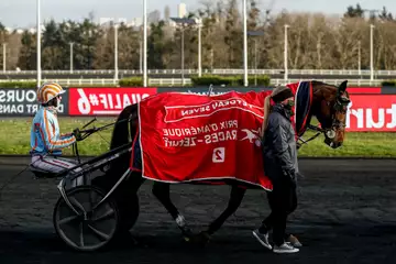 Prix de la Gironde, Free Man sur l'hippodrome de Paris Vincennes